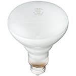 Philips Soft White 65-Watt BR30 Indoor Flood Light Bulb, 12-Pack 248872