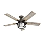 Hunter Fan Company Key Biscayne 54″ Ceiling Fan with Light, Large, Onyx Bengal 59273